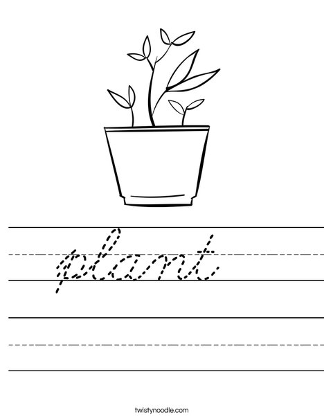 Potted Plant Worksheet