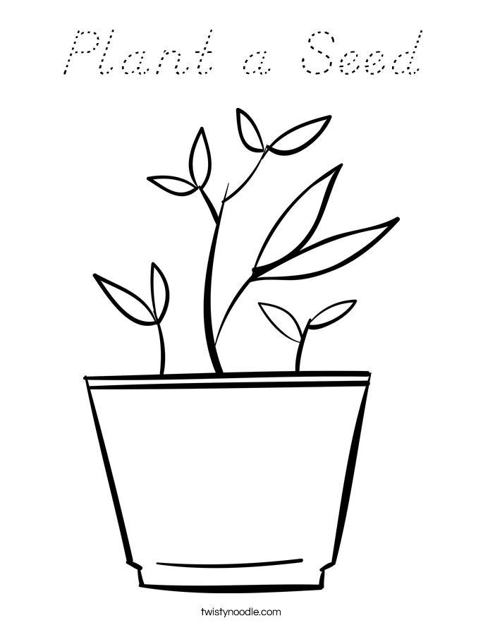 Plant a Seed Coloring Page
