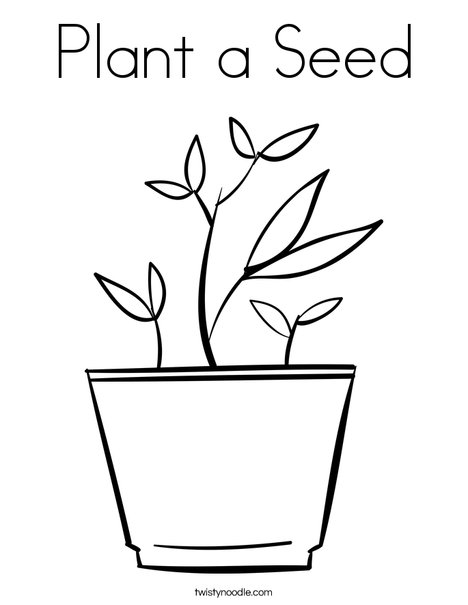 plant a seed coloring page twisty noodle