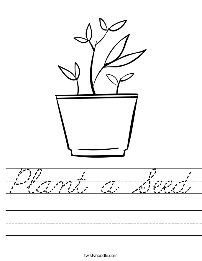 Plant a Seed Worksheet