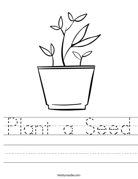 Potted Plant Worksheet