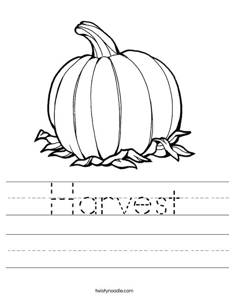 Pumpkin Worksheet