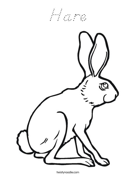 Hare Coloring Page