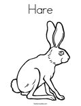 HareColoring Page
