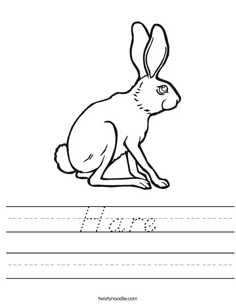 Hare Worksheet