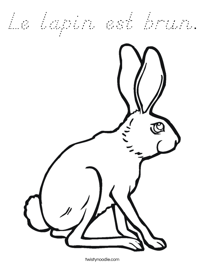 Le lapin est brun. Coloring Page