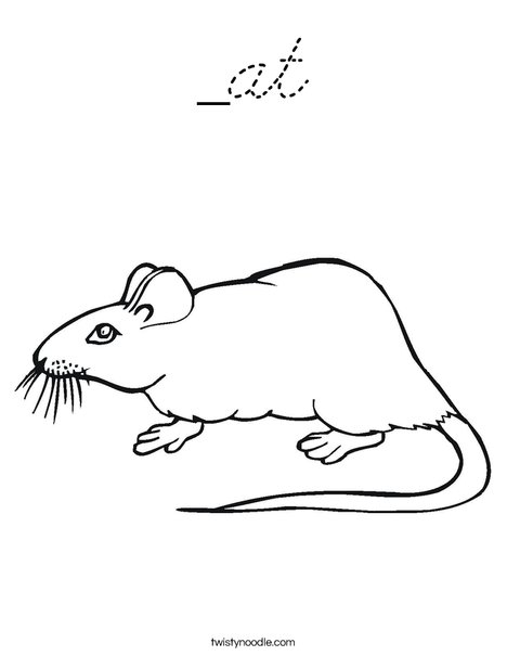 Rat Coloring Page