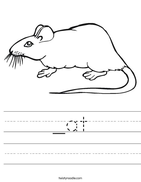 Rat Worksheet