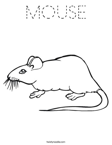 Rat Coloring Page