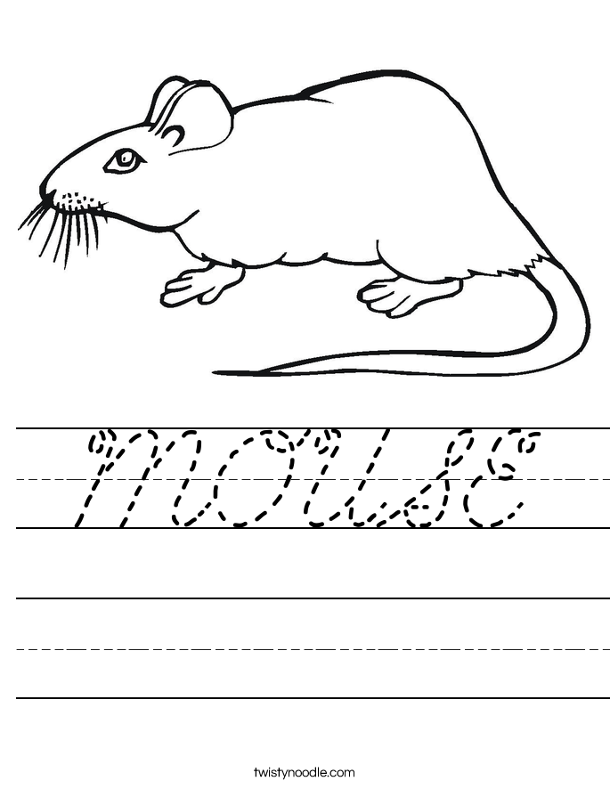 MOUSE Worksheet