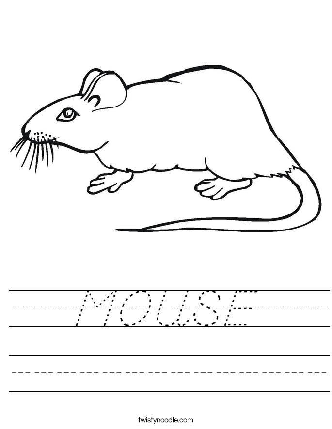 MOUSE Worksheet