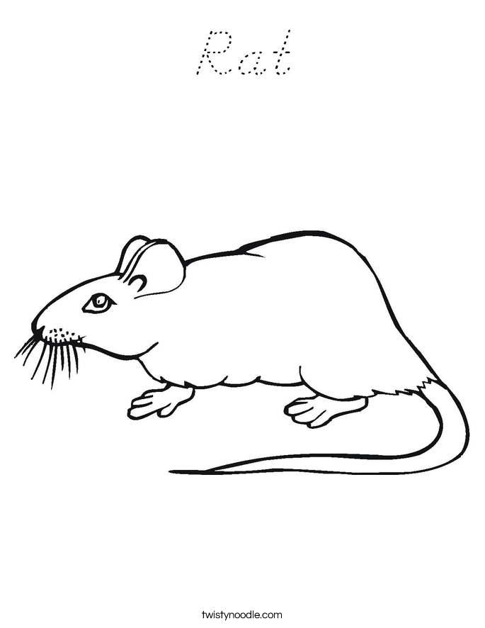 Rat Coloring Page