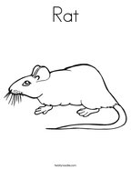 Rat Coloring Page