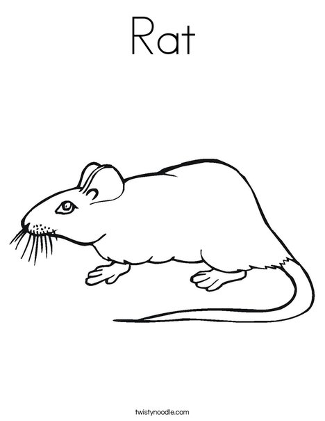 Line Drawing Rat : Rat coloring page twisty noodle