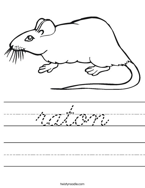 Rat Worksheet