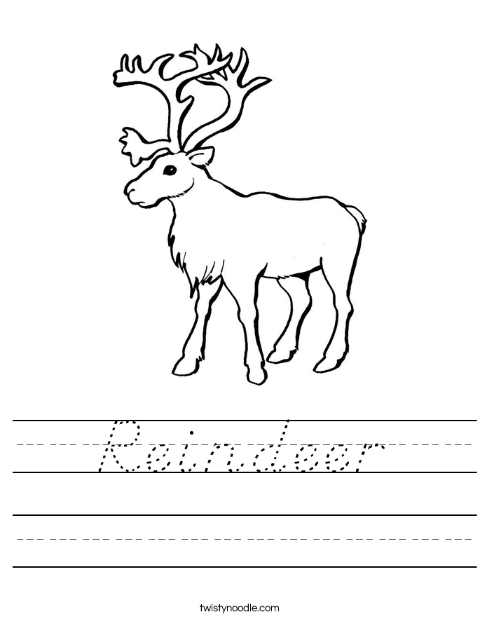 Reindeer Worksheet