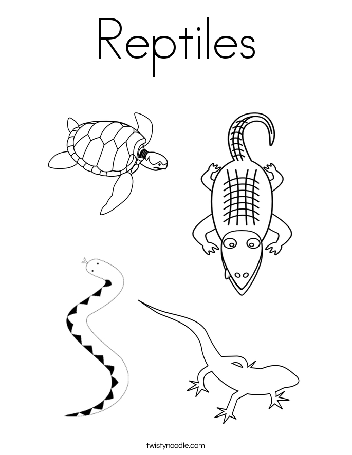 Reptiles Coloring Page - Twisty Noodle