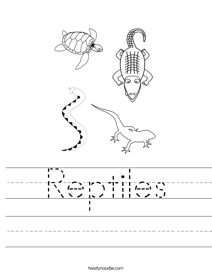 Reptiles Worksheet