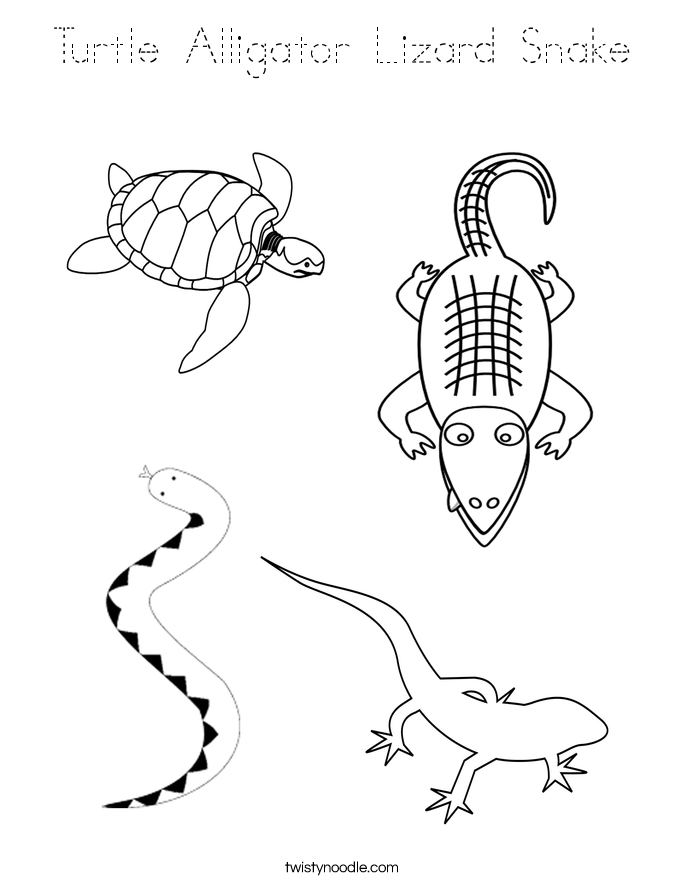 Turtle Alligator Lizard Snake Coloring Page