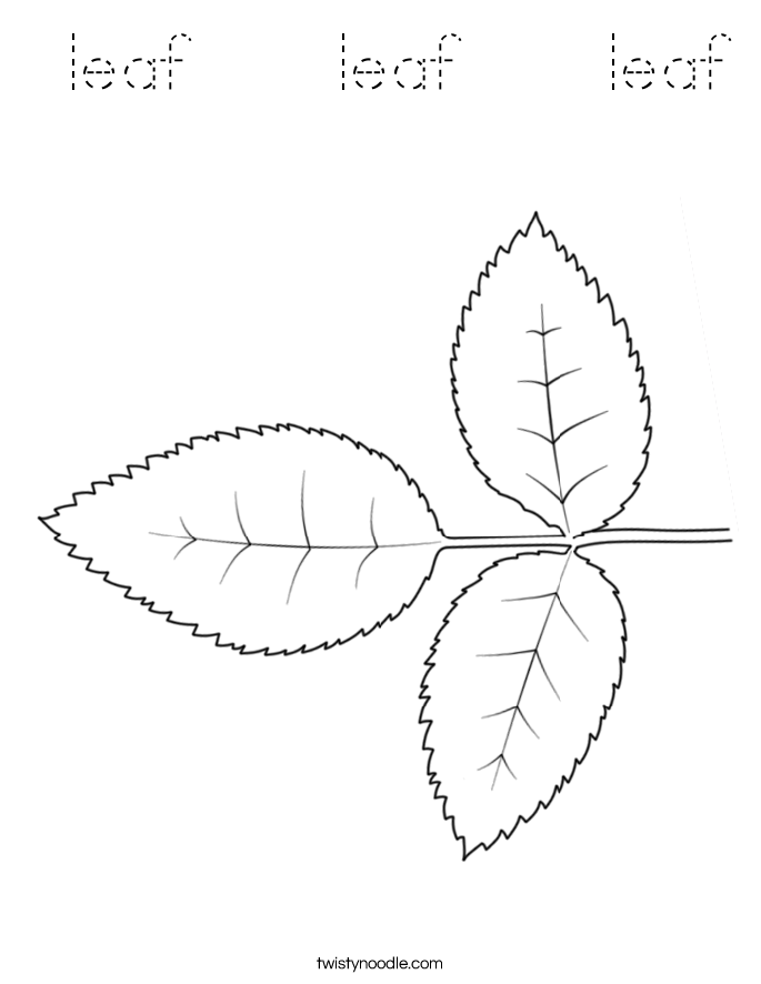  leaf    leaf    leaf Coloring Page