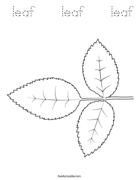 Rose Leaves Coloring Page