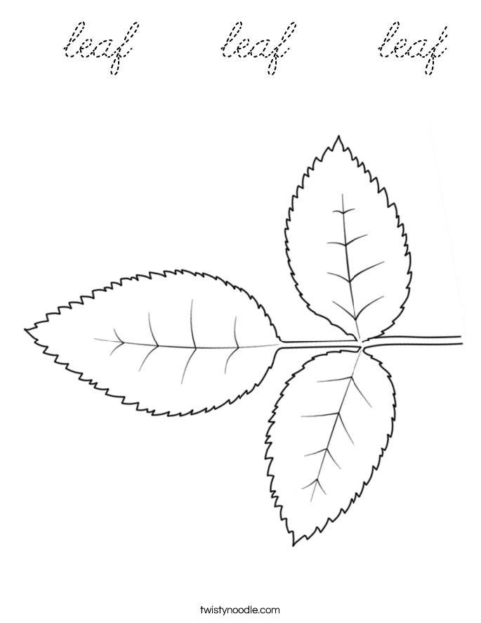  Coloring Page