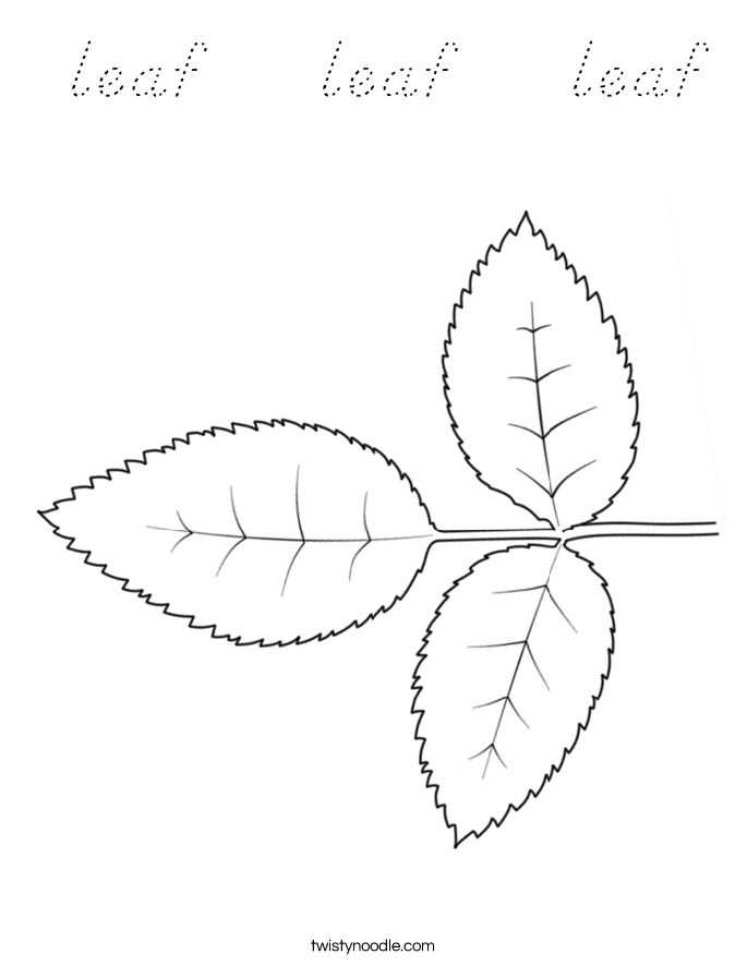  leaf    leaf    leaf Coloring Page