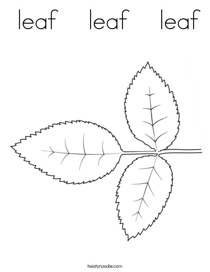  leaf    leaf    leaf Coloring Page