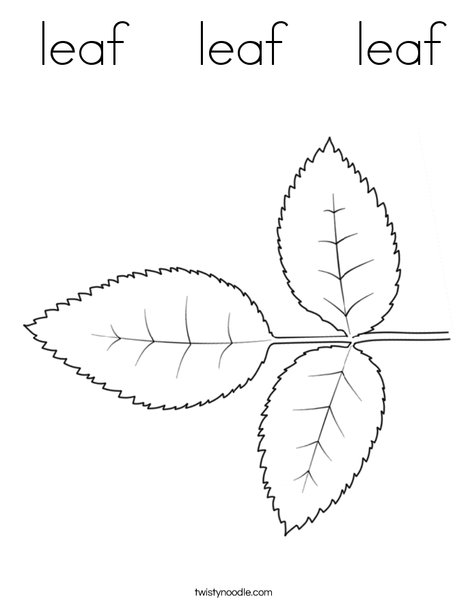 Rose Leaves Coloring Page