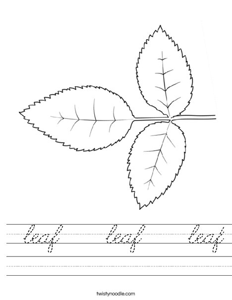 Rose Leaves Worksheet