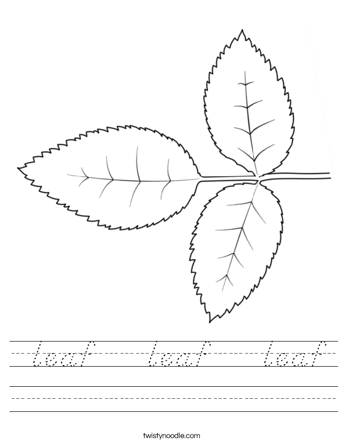  leaf    leaf    leaf Worksheet