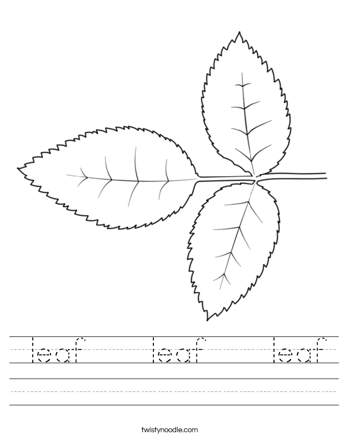  leaf    leaf    leaf Worksheet