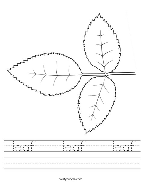 Rose Leaves Worksheet