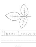 Three Leaves Worksheet