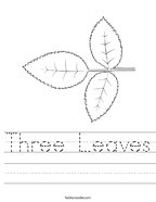 Three Leaves Handwriting Sheet