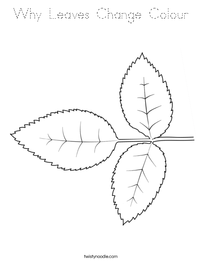Why Leaves Change Colour Coloring Page