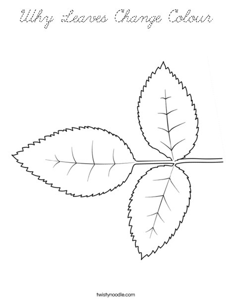 Rose Leaves Coloring Page
