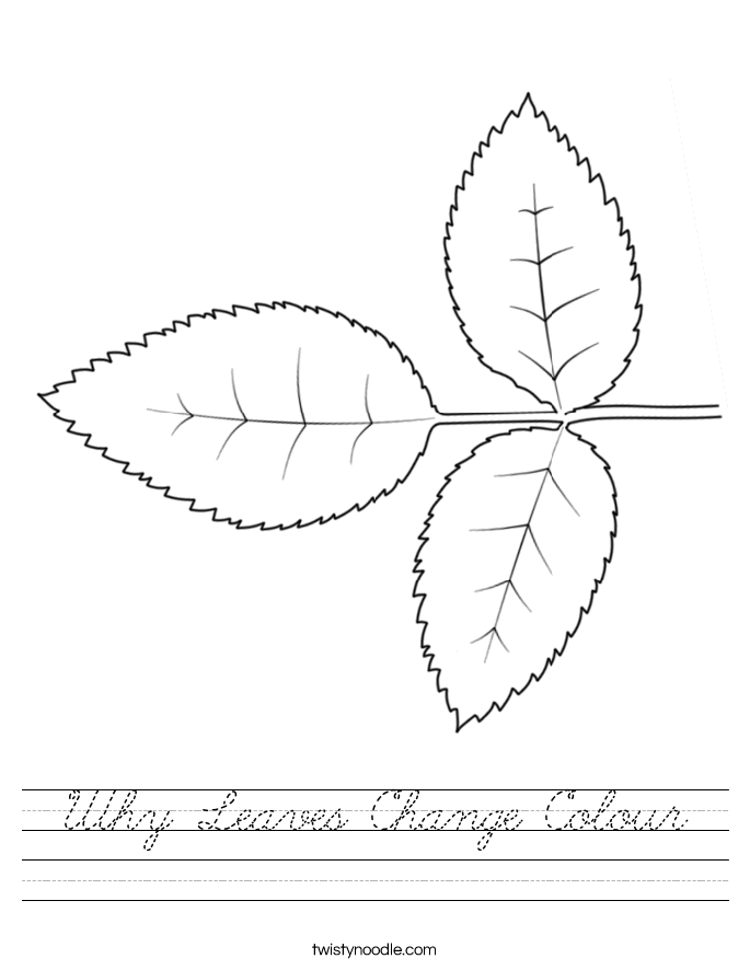 Why Leaves Change Colour Worksheet