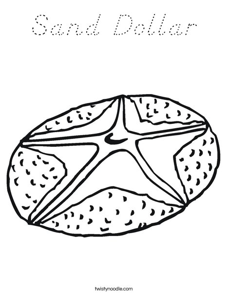 Sand Dollar Coloring Page