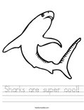 Sharks are super cool! Worksheet