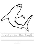 Sharks are the best! Worksheet