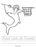 Good Luck at Tryouts! Worksheet