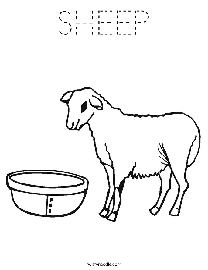 SHEEP Coloring Page