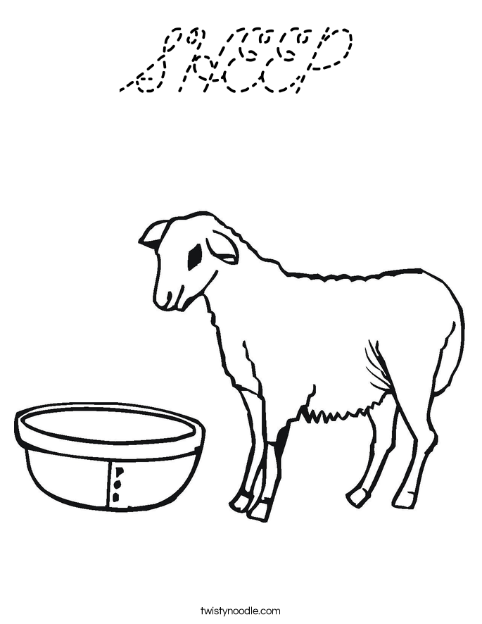  Coloring Page