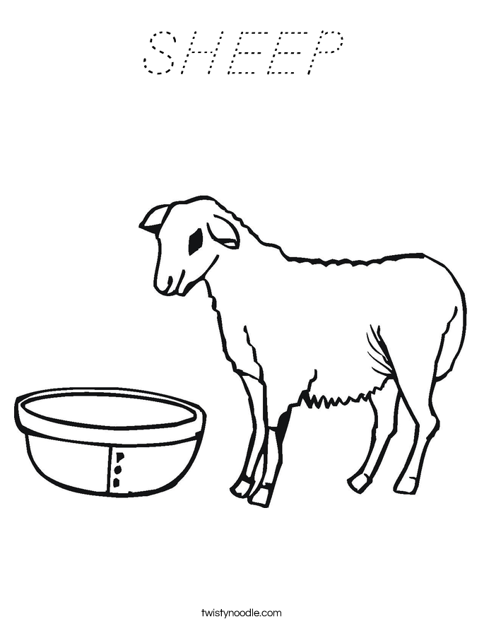 SHEEP Coloring Page