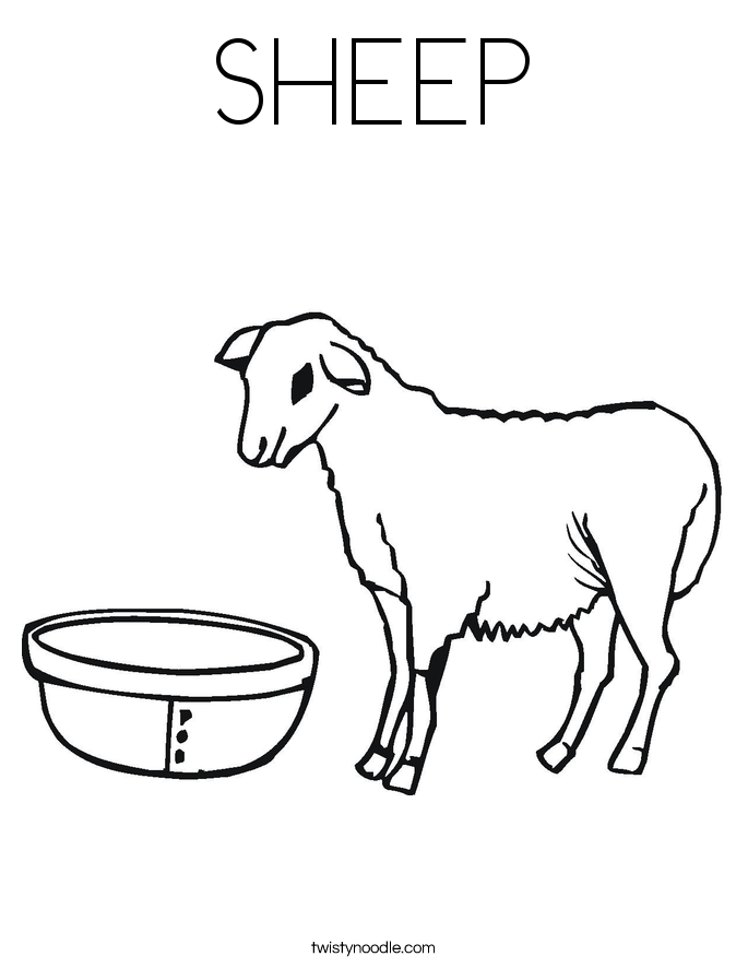 SHEEP Coloring Page