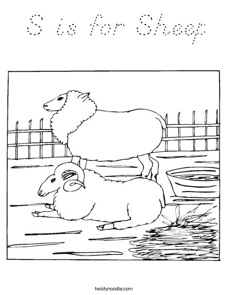 Sheep and Ram Coloring Page