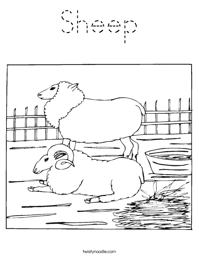 Sheep Coloring Page