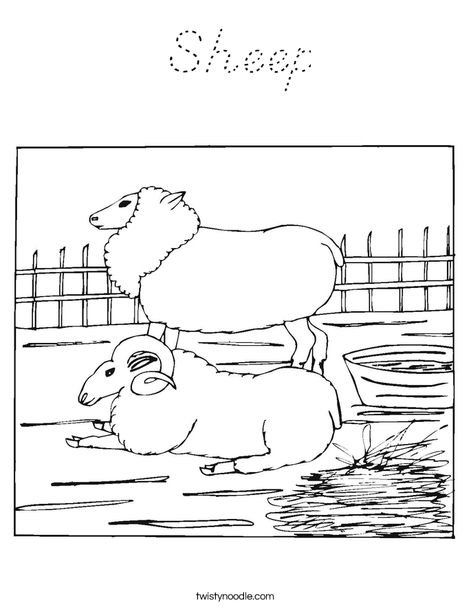 Sheep Coloring Page