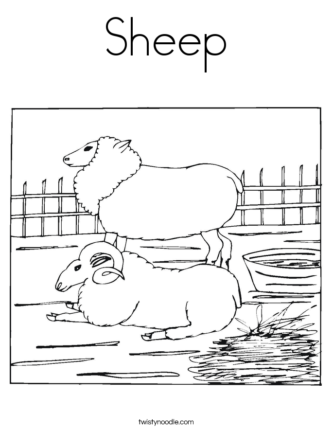 Sheep Coloring Page